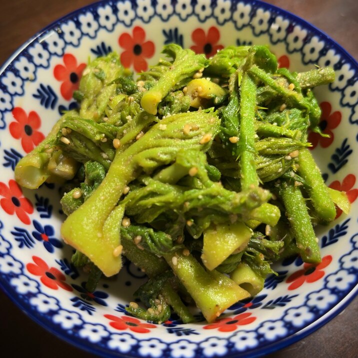 【旬味/山菜】タラの芽ごま和え